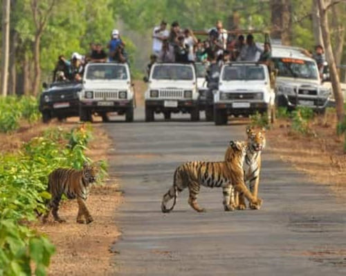 Day 1: Delhi to Ranthambore one day drive Day 1: Delhi to Ranthambore one day drive