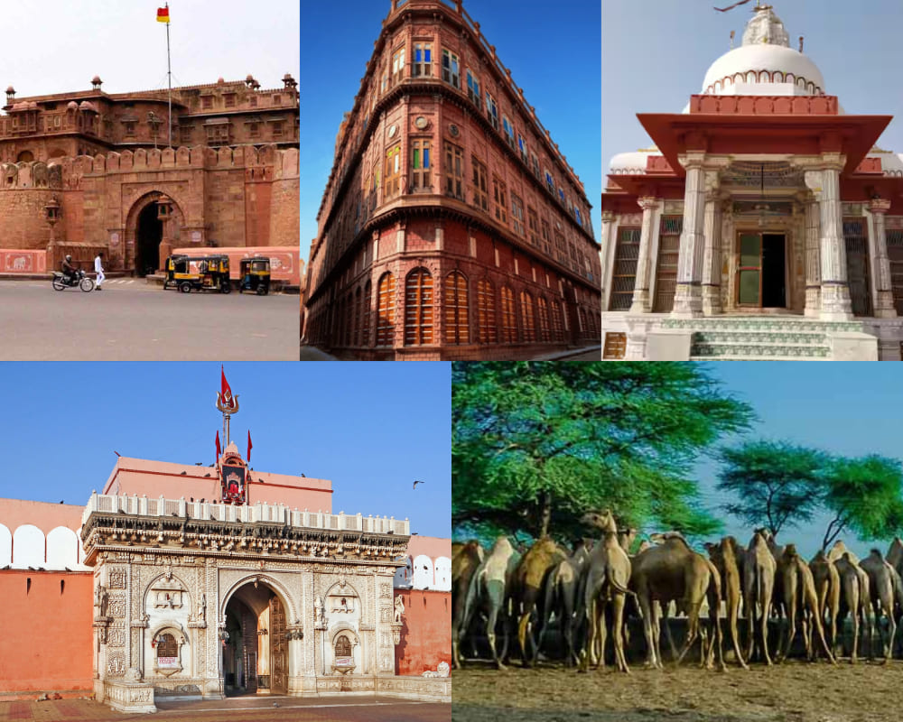 Bikaner:- Junagarh Fort, Rampuriya Haweli, Jain Temple, Karni Mata Temple, National Camel Research Centre Bikaner:- Junagarh Fort, Rampuriya Haweli, Jain Temple, Karni Mata Temple, National Camel Research Centre