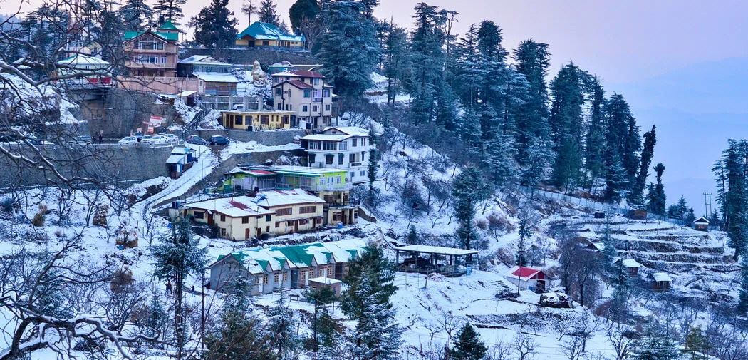 Day 2: Shimla Sightseen Green Velly, Kufri, Mall Road, Jakhoo Temple