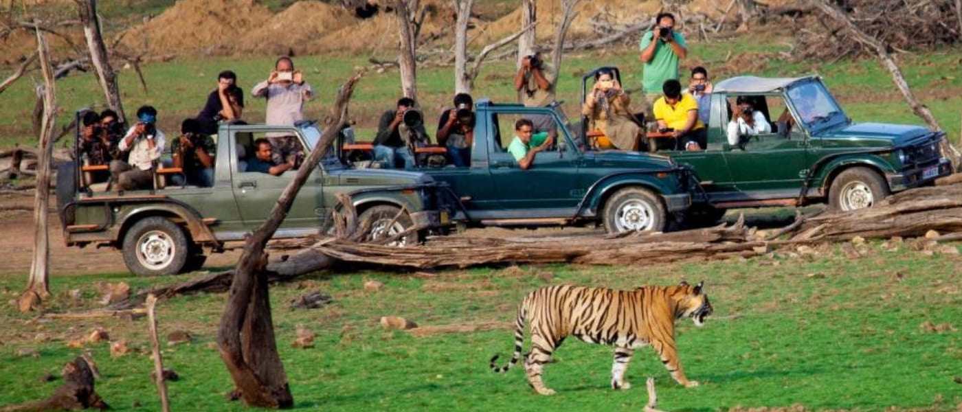 2N 3D Delhi to Ranthambore Tour 2N 3D Delhi to Ranthambore Tour